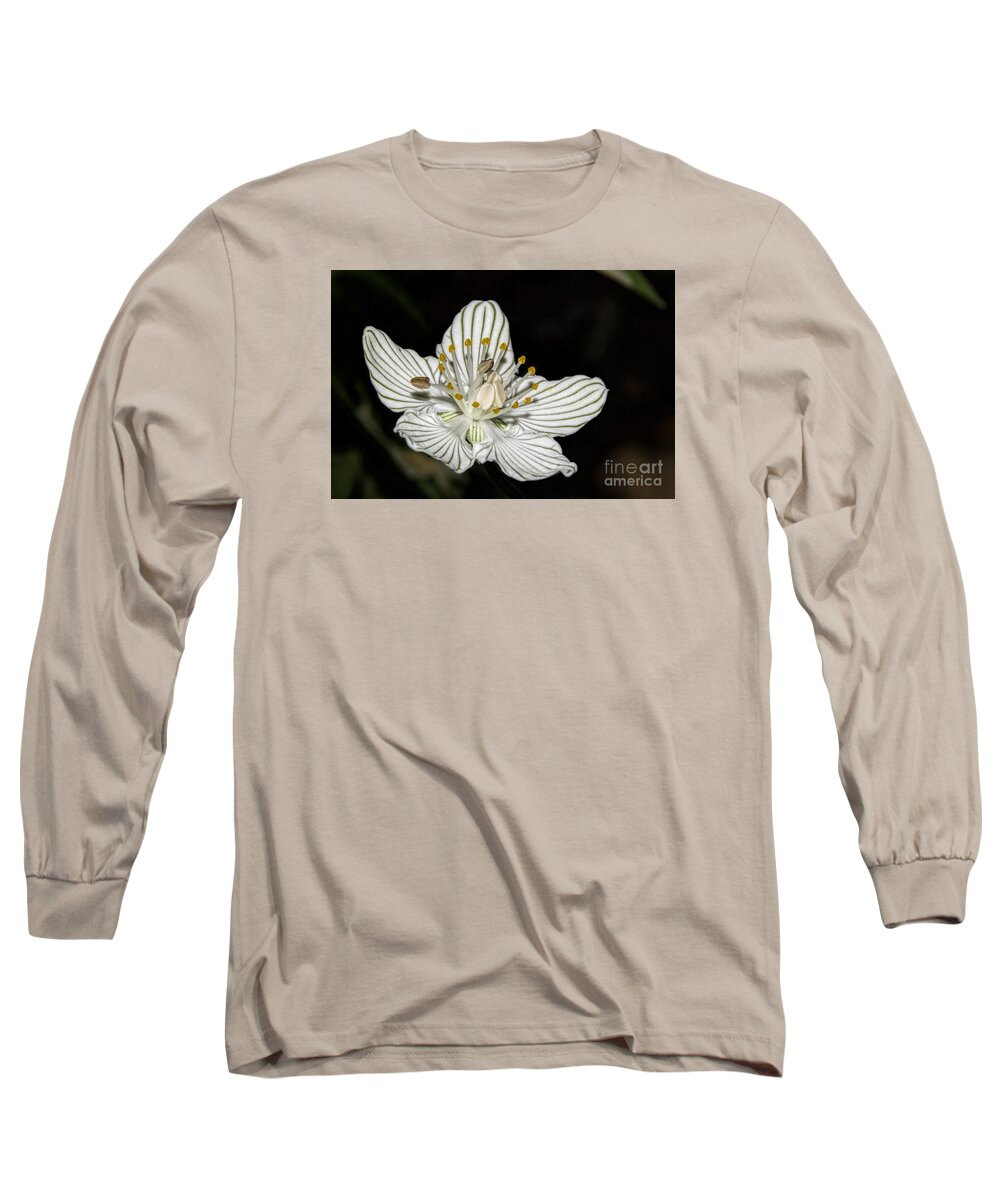 Kidney-leaf Grass Of Parnassus Long Sleeve T-Shirt featuring the photograph Grass of Parnassus by Barbara Bowen