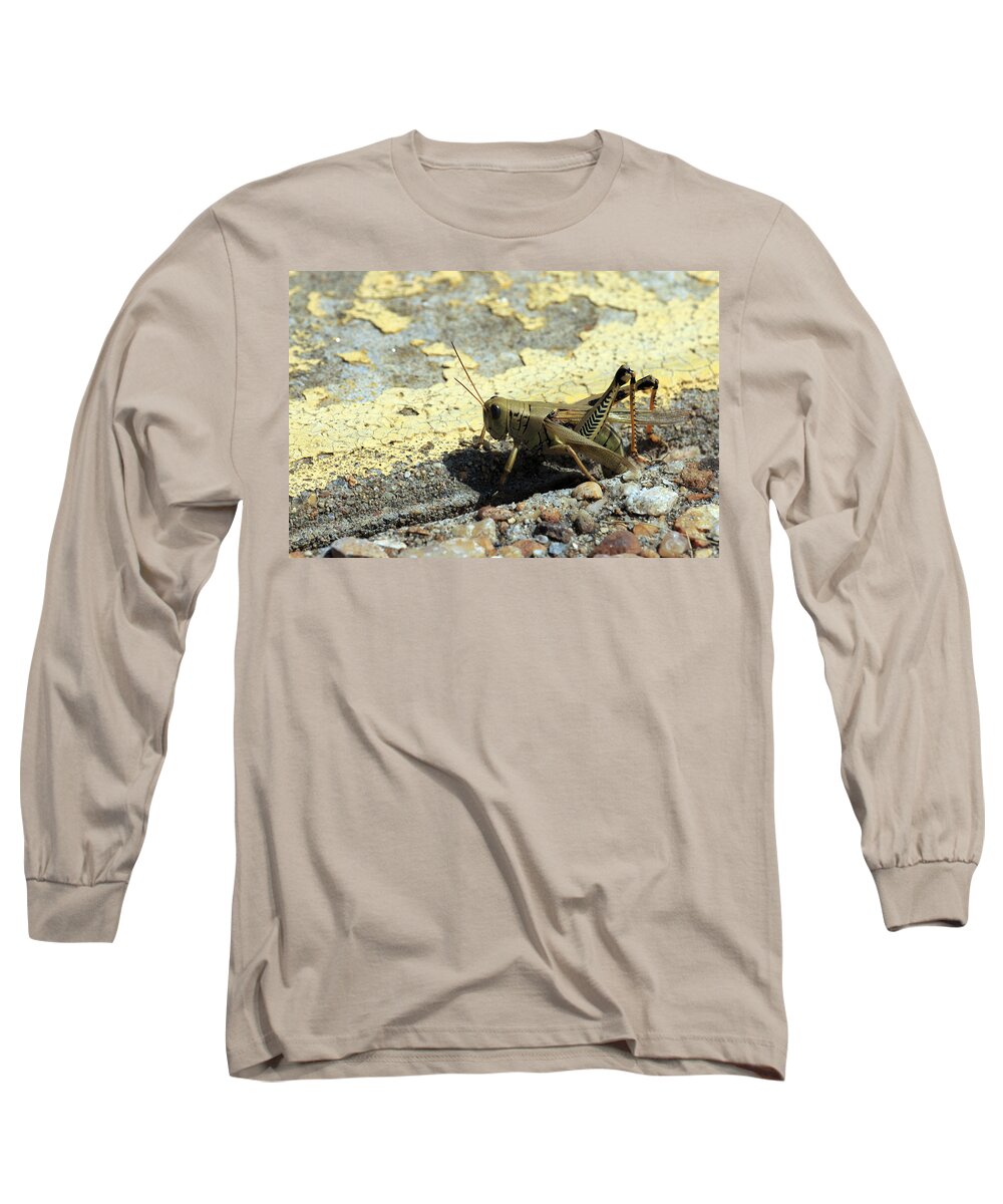 Grasshopper Long Sleeve T-Shirt featuring the photograph Grasshopper Laying Eggs by Travis Rogers
