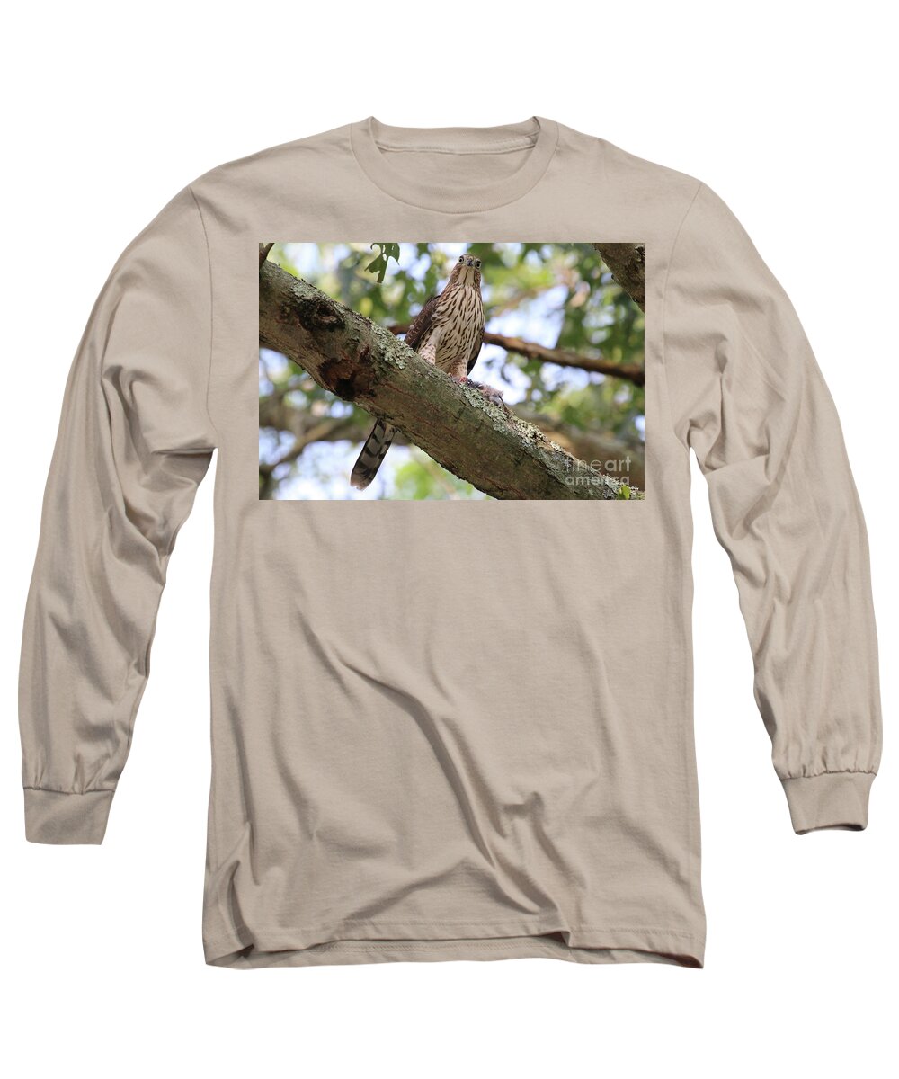 Hawk Long Sleeve T-Shirt featuring the photograph Hawk on a Branch by Steven Spak