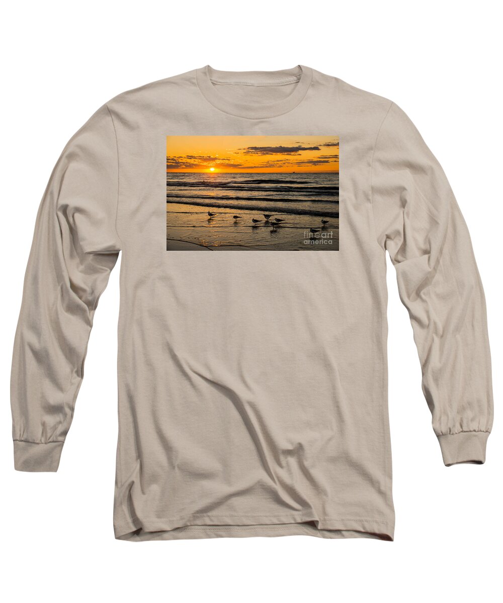 Hilton Head Island Long Sleeve T-Shirt featuring the photograph Hilton Head Seagulls by Paul Mashburn