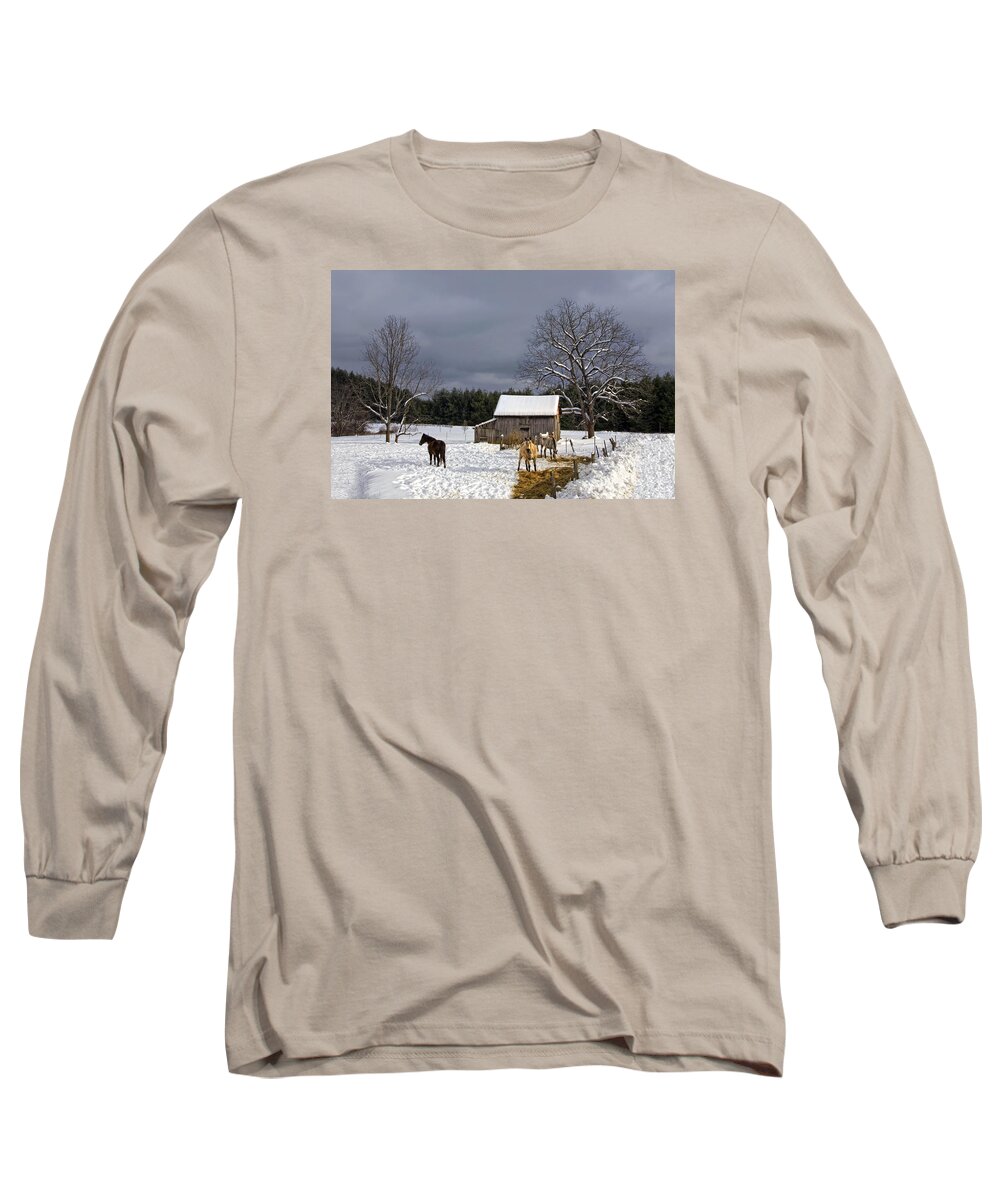 Barn Long Sleeve T-Shirt featuring the photograph Horses in Snow by Ken Barrett