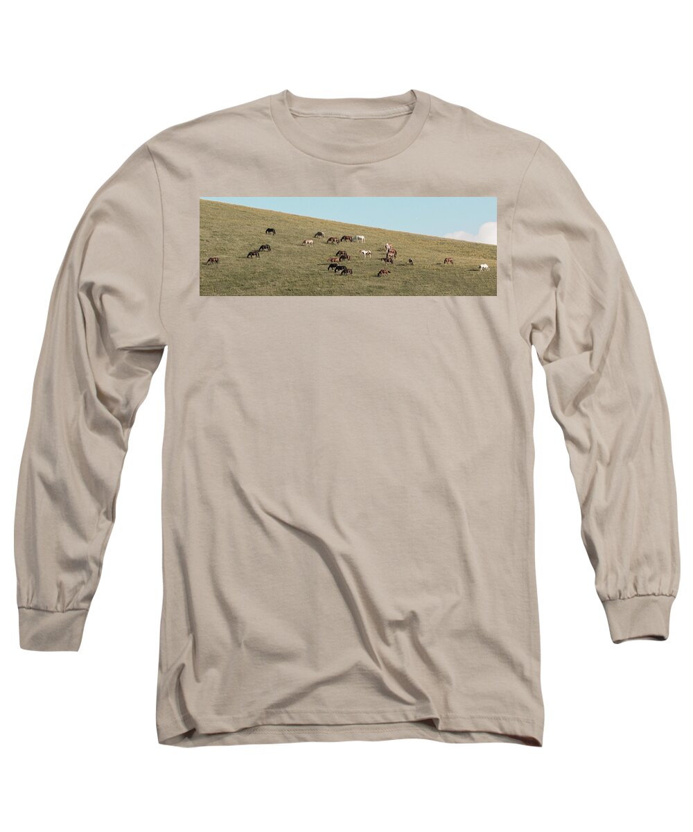 Horses Long Sleeve T-Shirt featuring the photograph Horses On The Hill by D K Wall