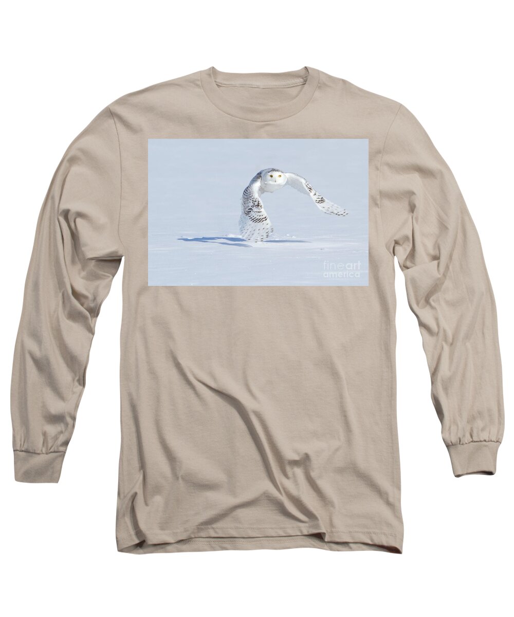 Snowy Owls Long Sleeve T-Shirt featuring the photograph In her sight by Heather King