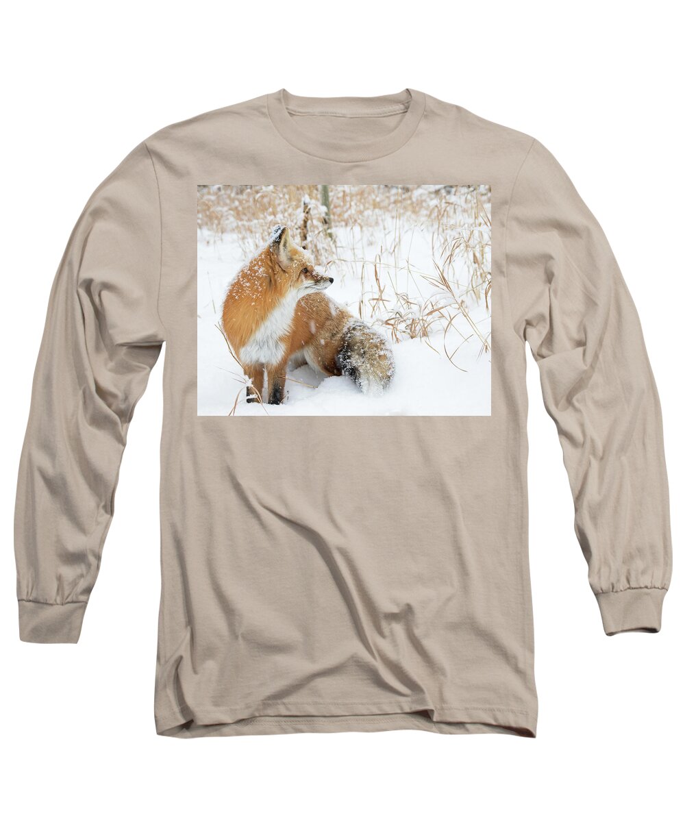 Fox Long Sleeve T-Shirt featuring the photograph In The Distance #2 by Mindy Musick King
