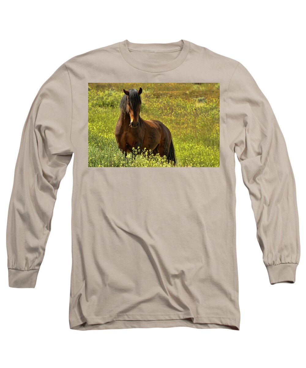 Horse Long Sleeve T-Shirt featuring the photograph In the Name of Pride by Waterdancer