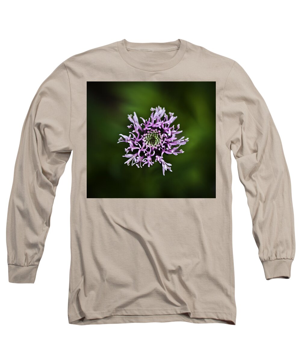 Pink Long Sleeve T-Shirt featuring the photograph Isolated flower by Jason Moynihan