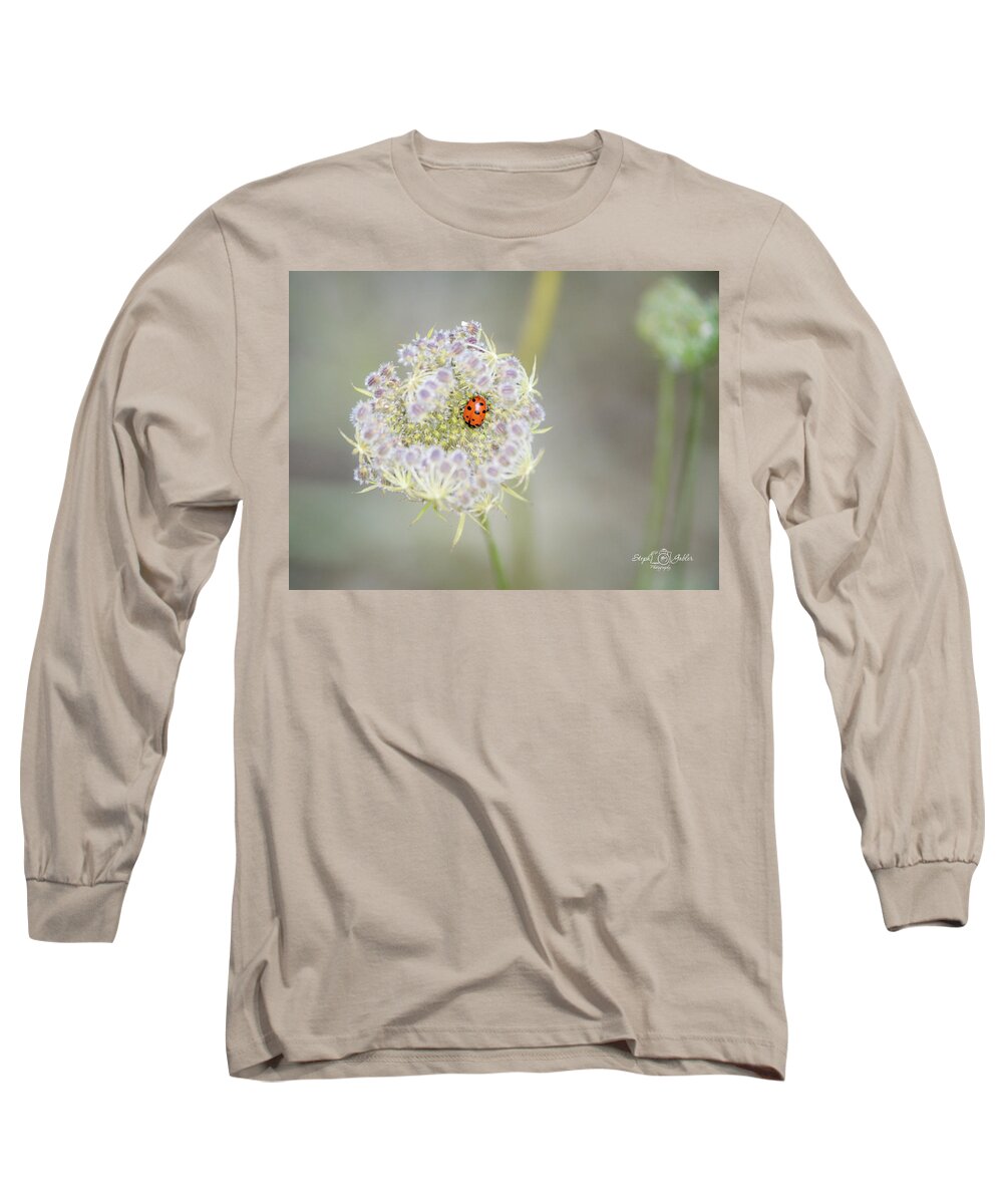 Lady Bug Long Sleeve T-Shirt featuring the photograph Lady on the Lace by Steph Gabler