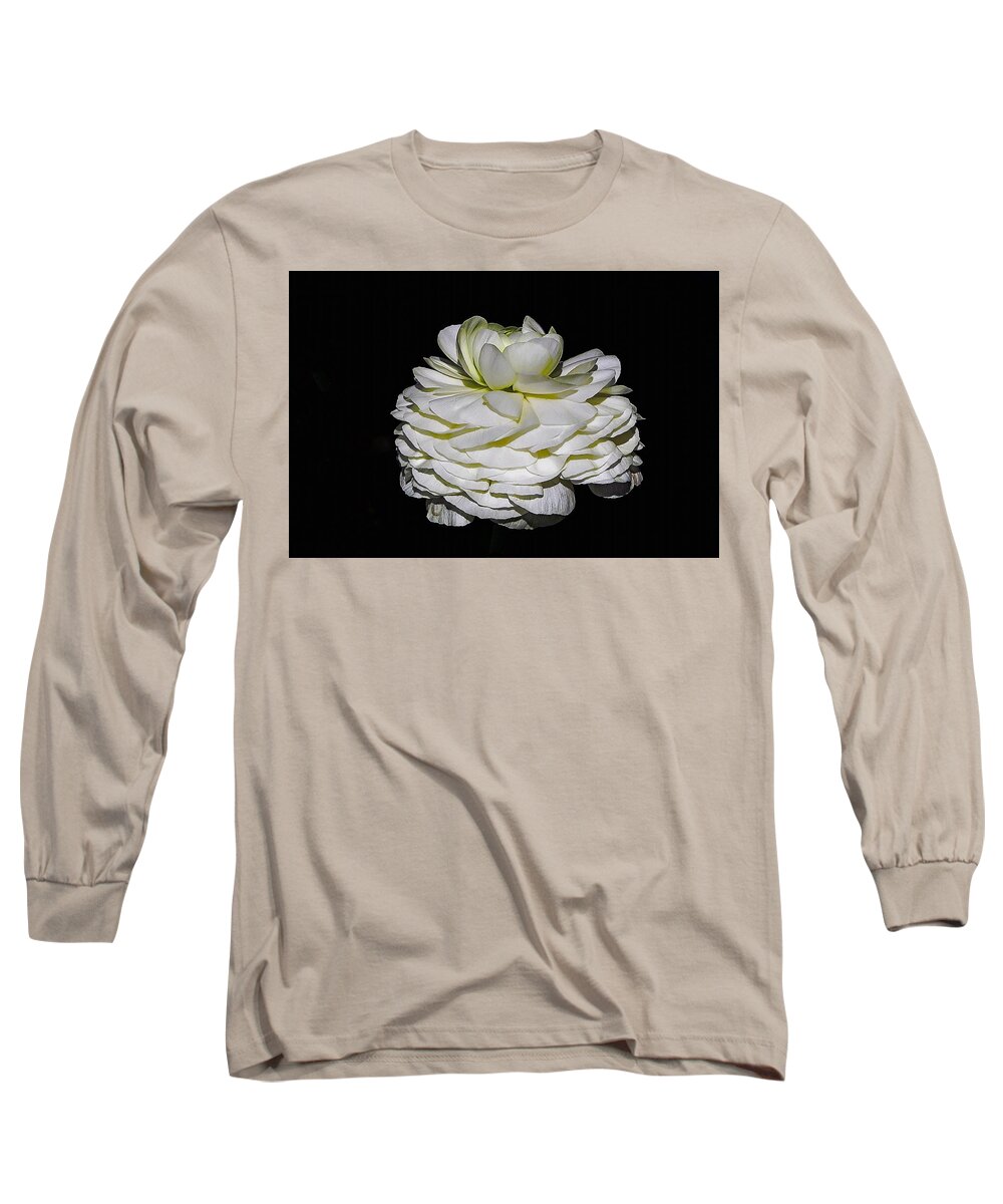 Ranunculus Long Sleeve T-Shirt featuring the photograph Fairy Wedding Cake by Hazel Vaughn