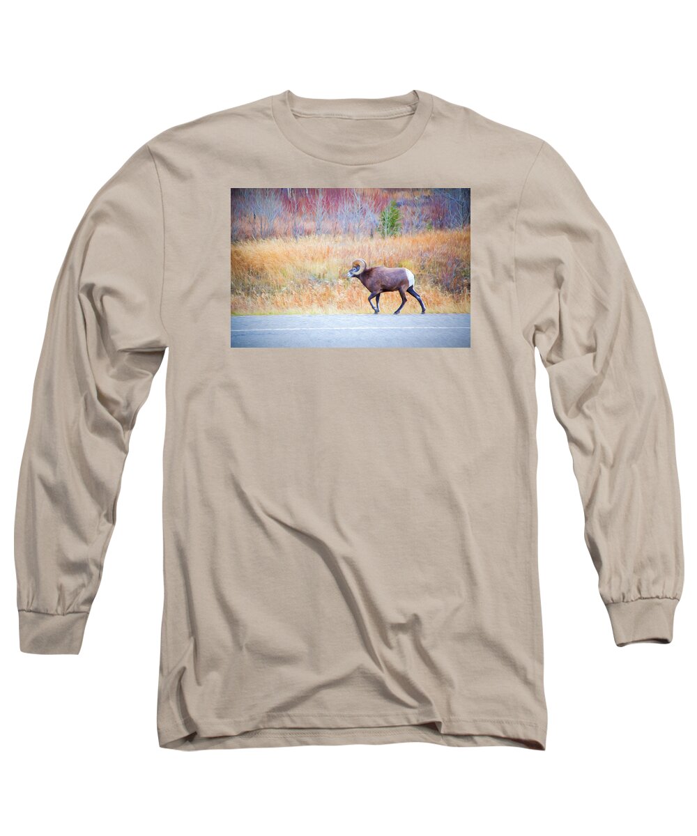 Nature Long Sleeve T-Shirt featuring the photograph Leader of the Herd by Judy Wright Lott