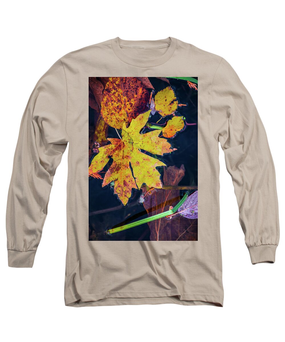 Fall Long Sleeve T-Shirt featuring the photograph Leaves on the pond by David Lee