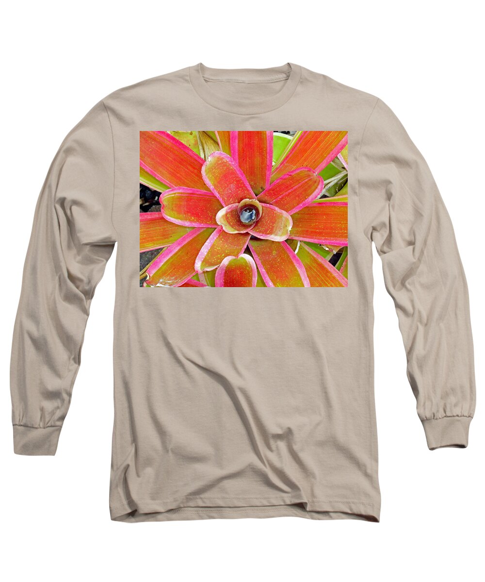 Plant Long Sleeve T-Shirt featuring the photograph Leaving Honolulu by Robert Meyers-Lussier