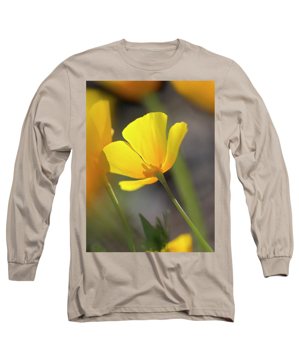 Yellow Long Sleeve T-Shirt featuring the photograph Lemon Yellow by Sue Cullumber