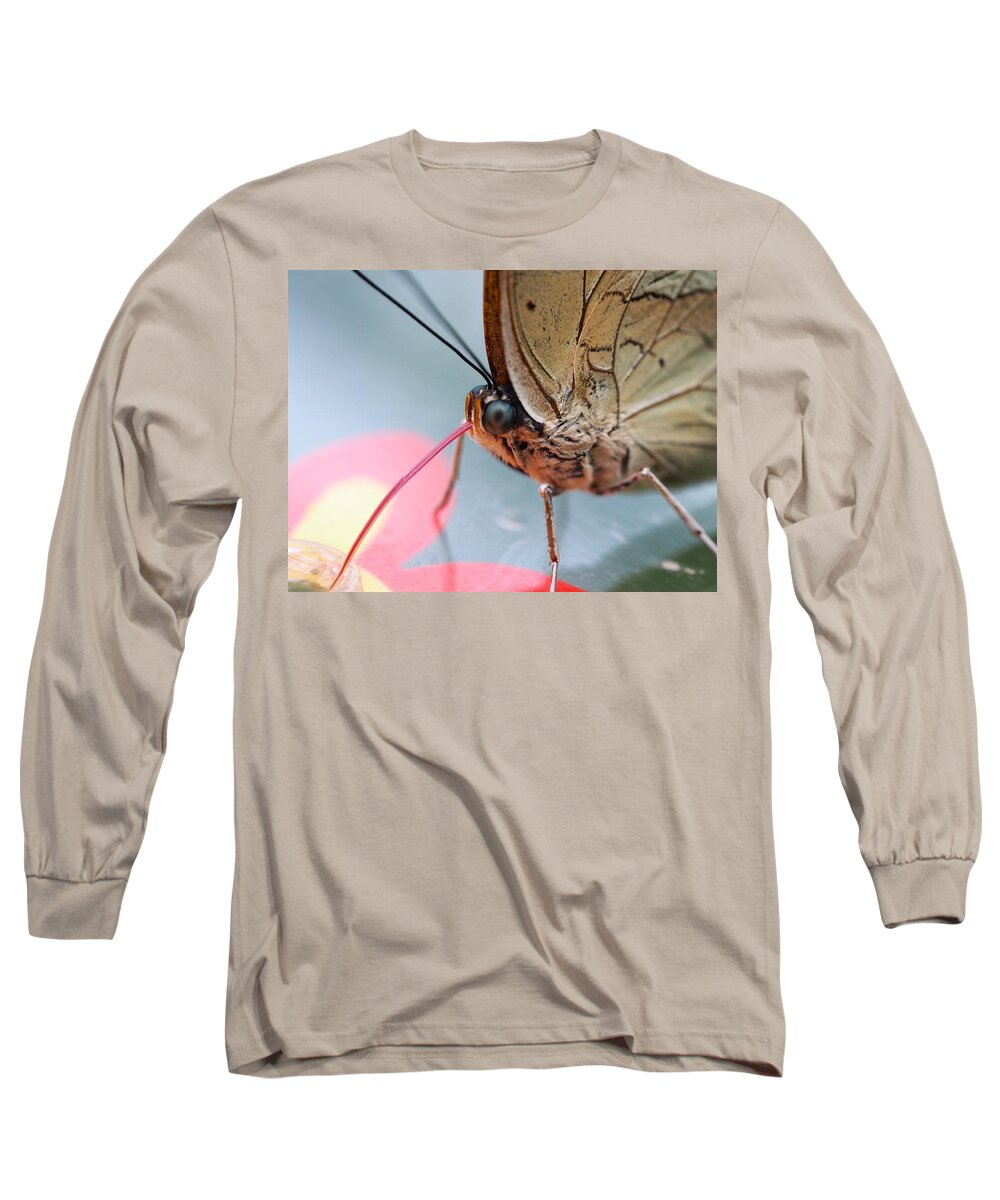 Butterfly Long Sleeve T-Shirt featuring the photograph Little Blue Eyes by Jessica Myscofski