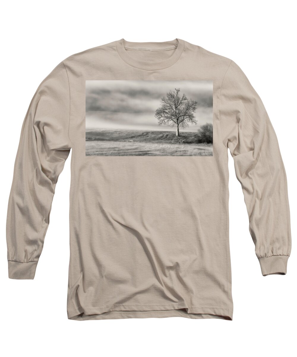 Landscape Long Sleeve T-Shirt featuring the photograph Lone Tree at the Ojai Summit by John A Rodriguez