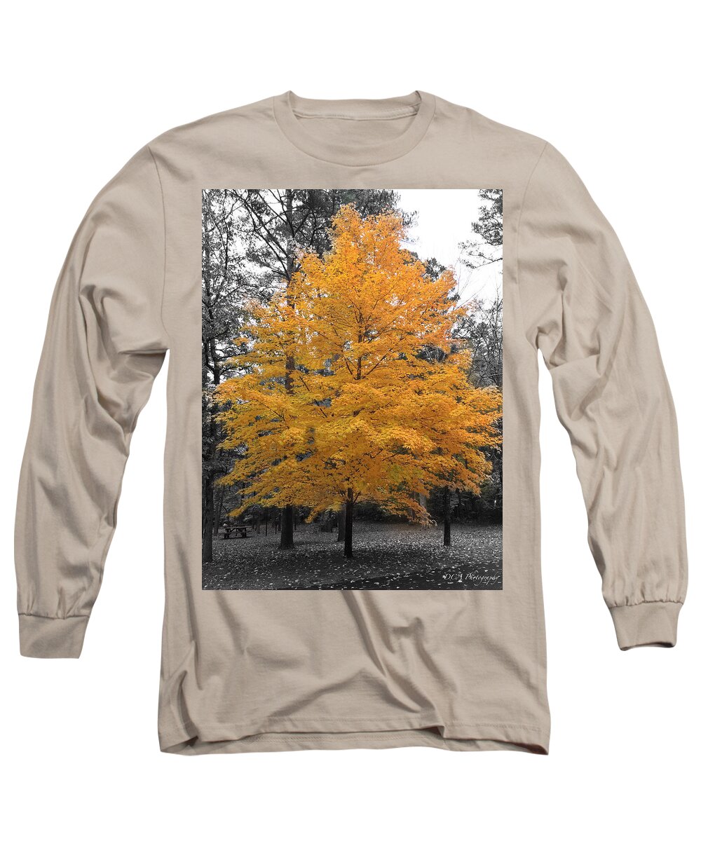 Autumn Long Sleeve T-Shirt featuring the photograph Lone Yellow Autumn Tree by Doris Aguirre