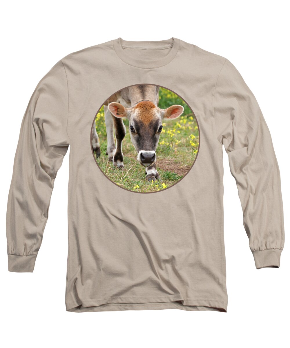 Jersey Cow Long Sleeve T-Shirt featuring the photograph Look Into My Eyes - Jersey Cow - Square by Gill Billington