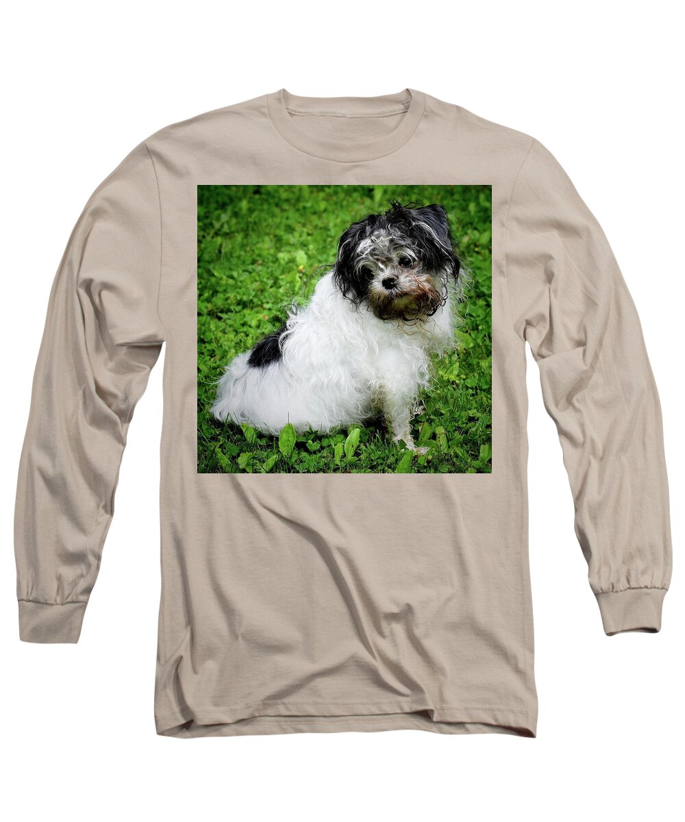 Dog Long Sleeve T-Shirt featuring the photograph I was not in the dirt again.... by Jeffrey Platt