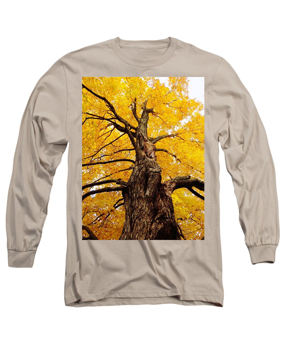Trees Long Sleeve T-Shirt featuring the photograph Looking Up by Lori Frisch