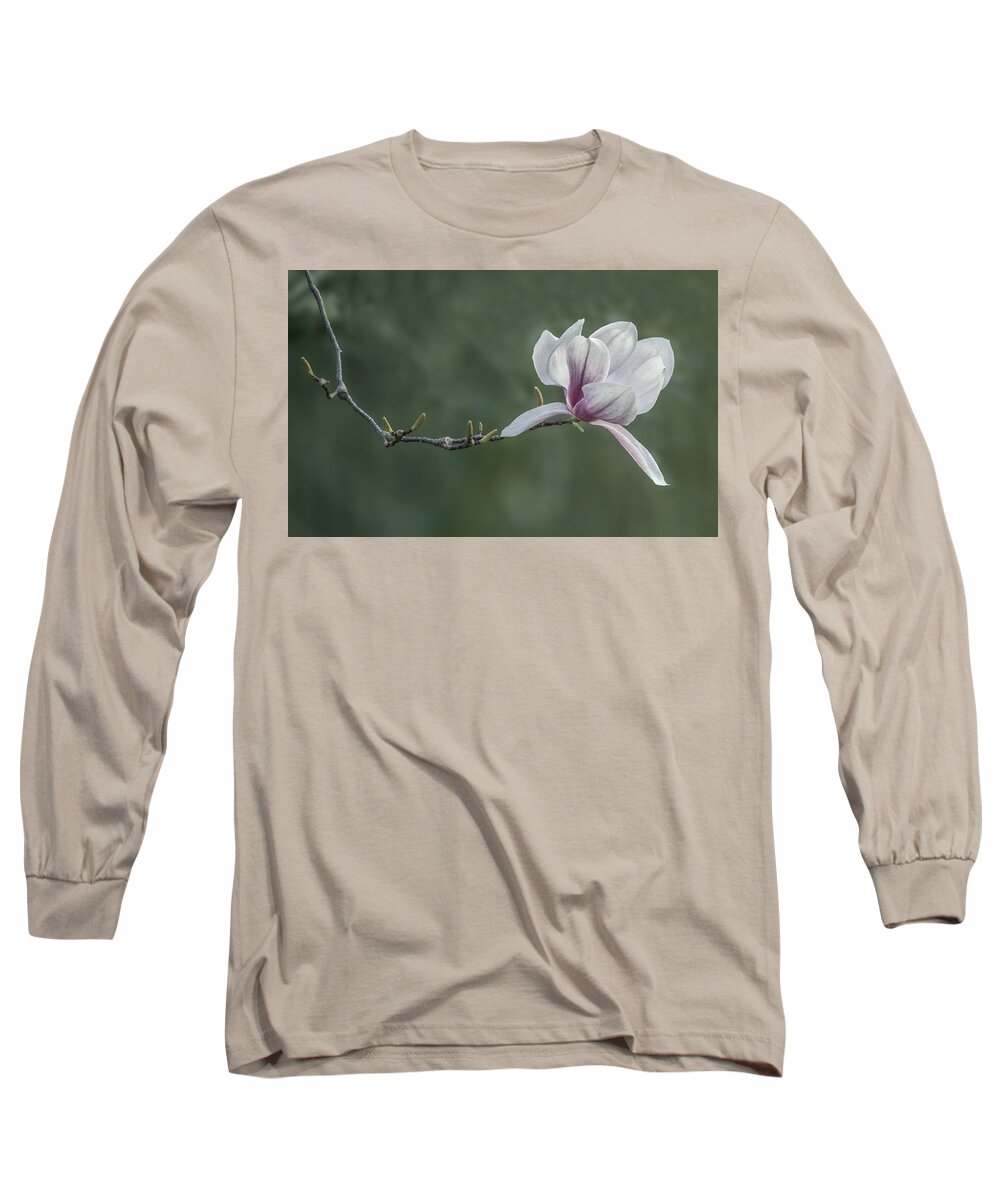 Flower Long Sleeve T-Shirt featuring the photograph Magnolia Blossom by William Bitman
