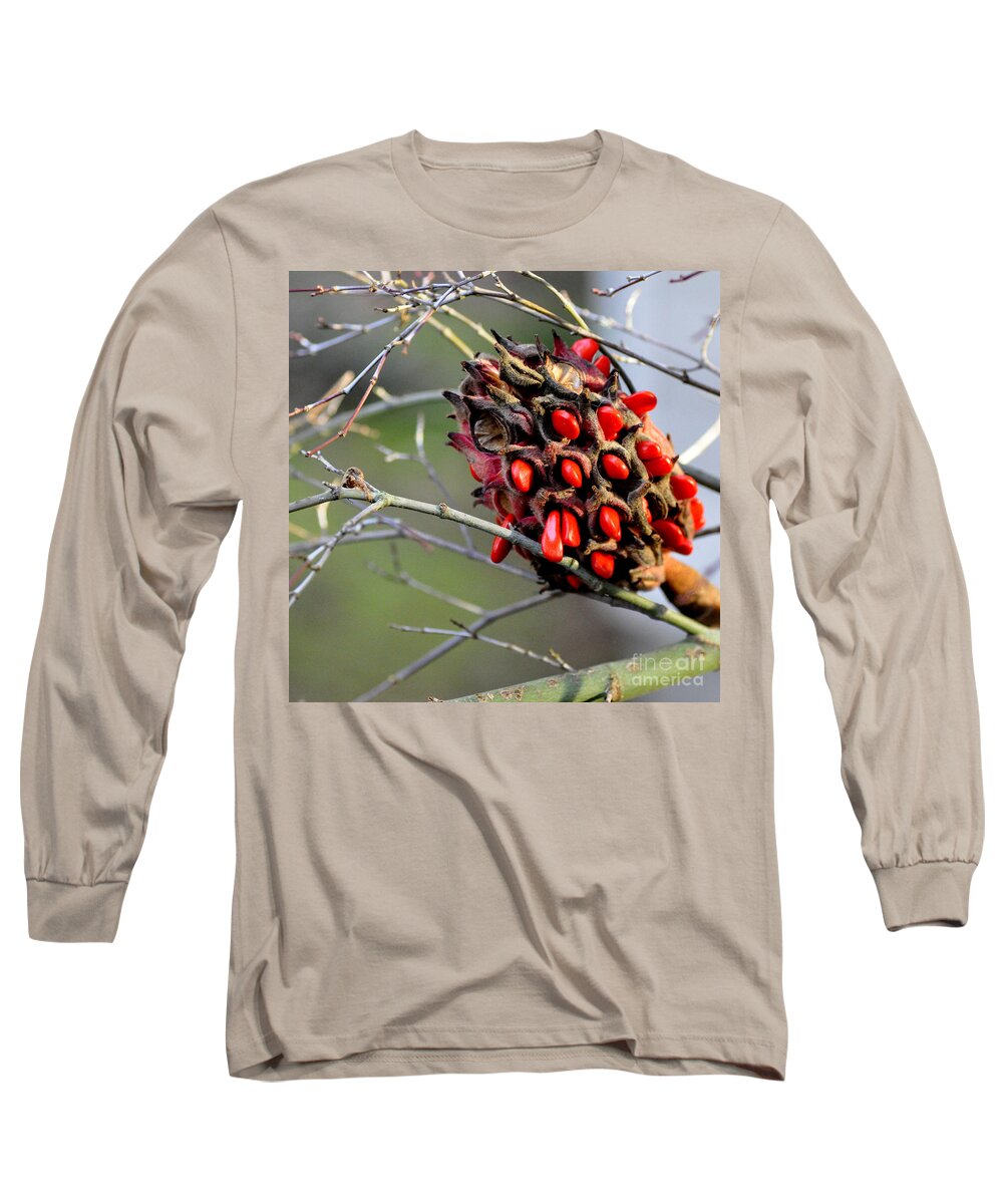 Botany Long Sleeve T-Shirt featuring the photograph Magnolia Seedhead by Tatyana Searcy