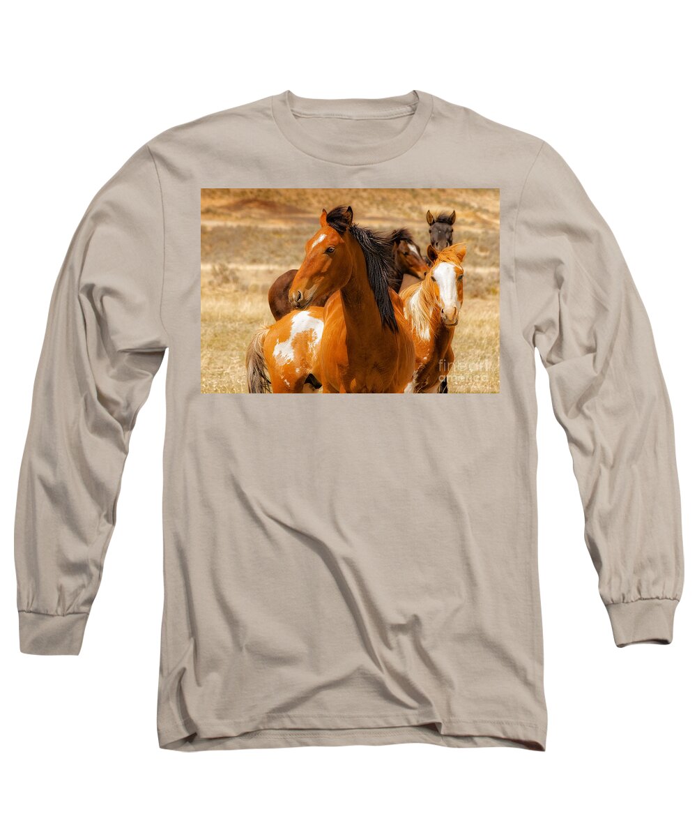 Majestic Wild Stallion With Herd On Navajo Indian Reservation In New Mexico Fine Art Nature Print Long Sleeve T-Shirt featuring the photograph Majestic Wild Stallion by Jerry Cowart