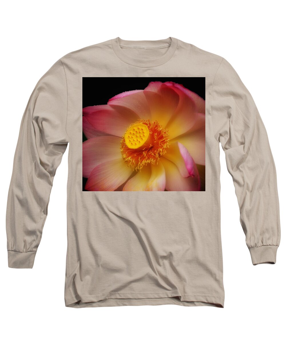 Bees Long Sleeve T-Shirt featuring the photograph Metamorphosis I by Kathi Isserman