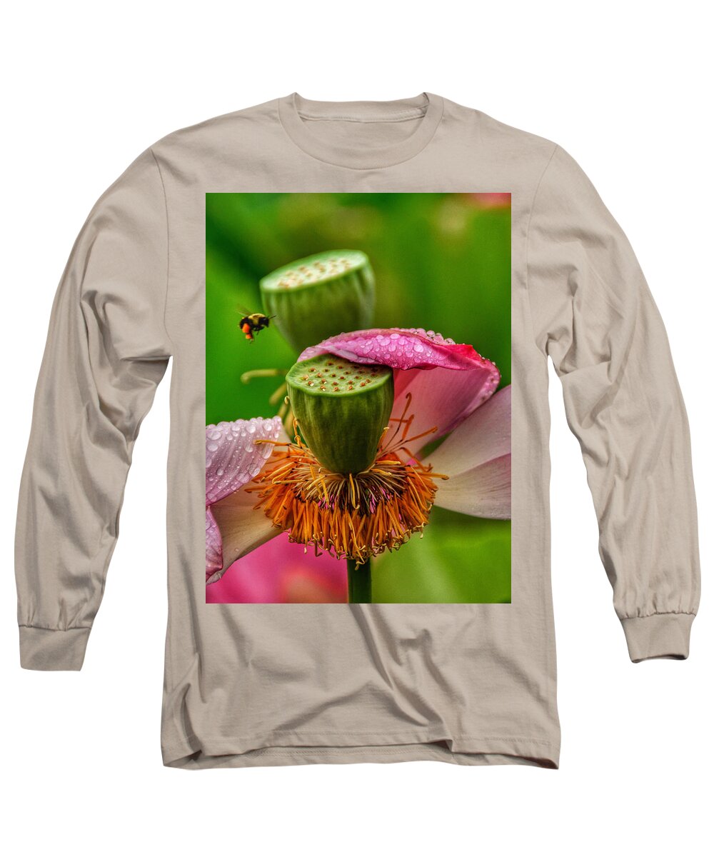 Bees Long Sleeve T-Shirt featuring the photograph Metamorphosis by Kathi Isserman