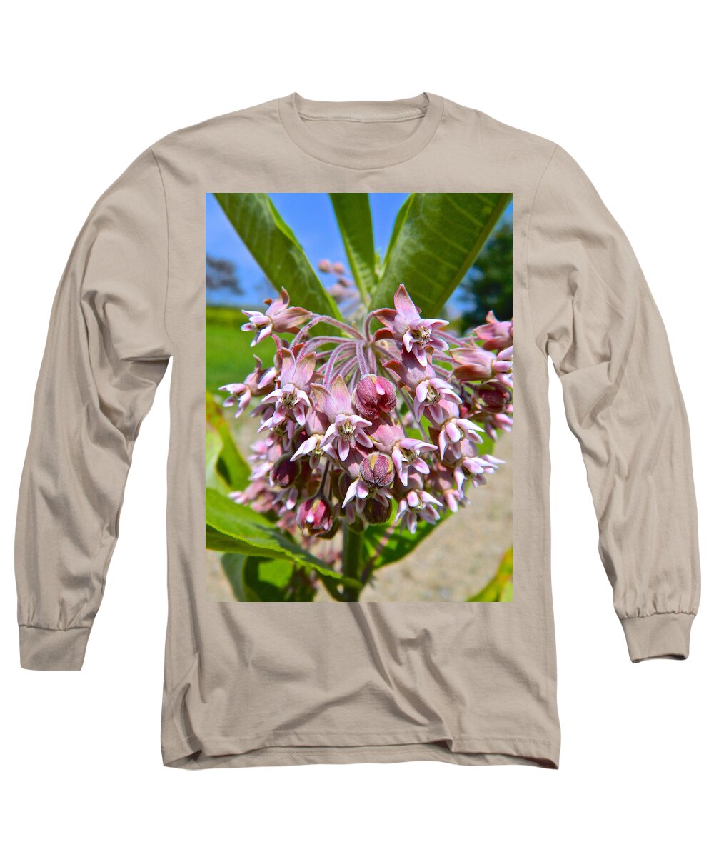 Milkweed Long Sleeve T-Shirt featuring the photograph Milkweed Beauty by Randy Rosenberger