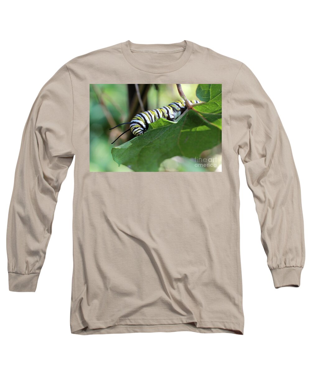 Monarch Long Sleeve T-Shirt featuring the photograph Monarch Butterfly Caterpillar eating milkweed leaf by Adam Long