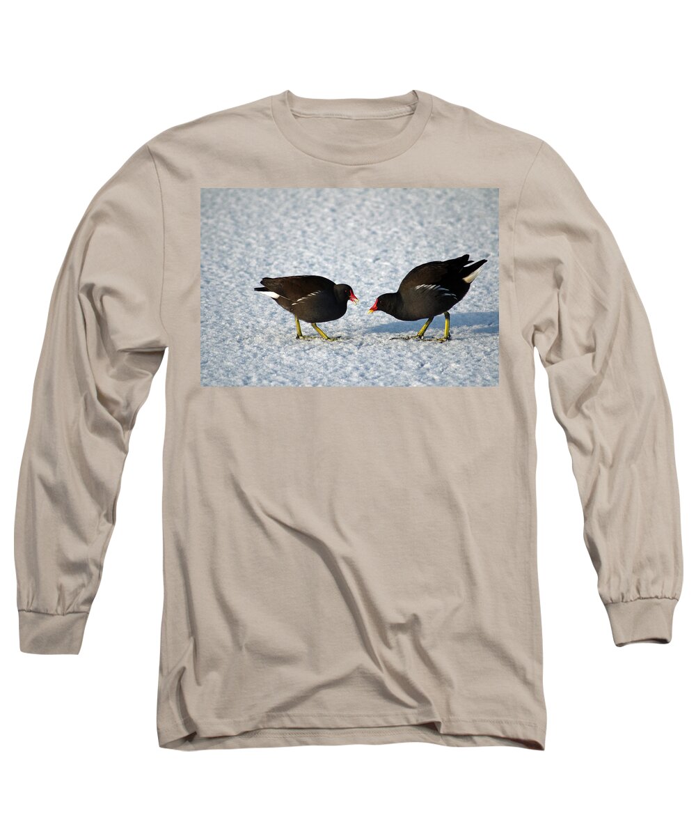 Burton On Trent Long Sleeve T-Shirt featuring the photograph Moorhens on the Ice and Snow by Rod Johnson