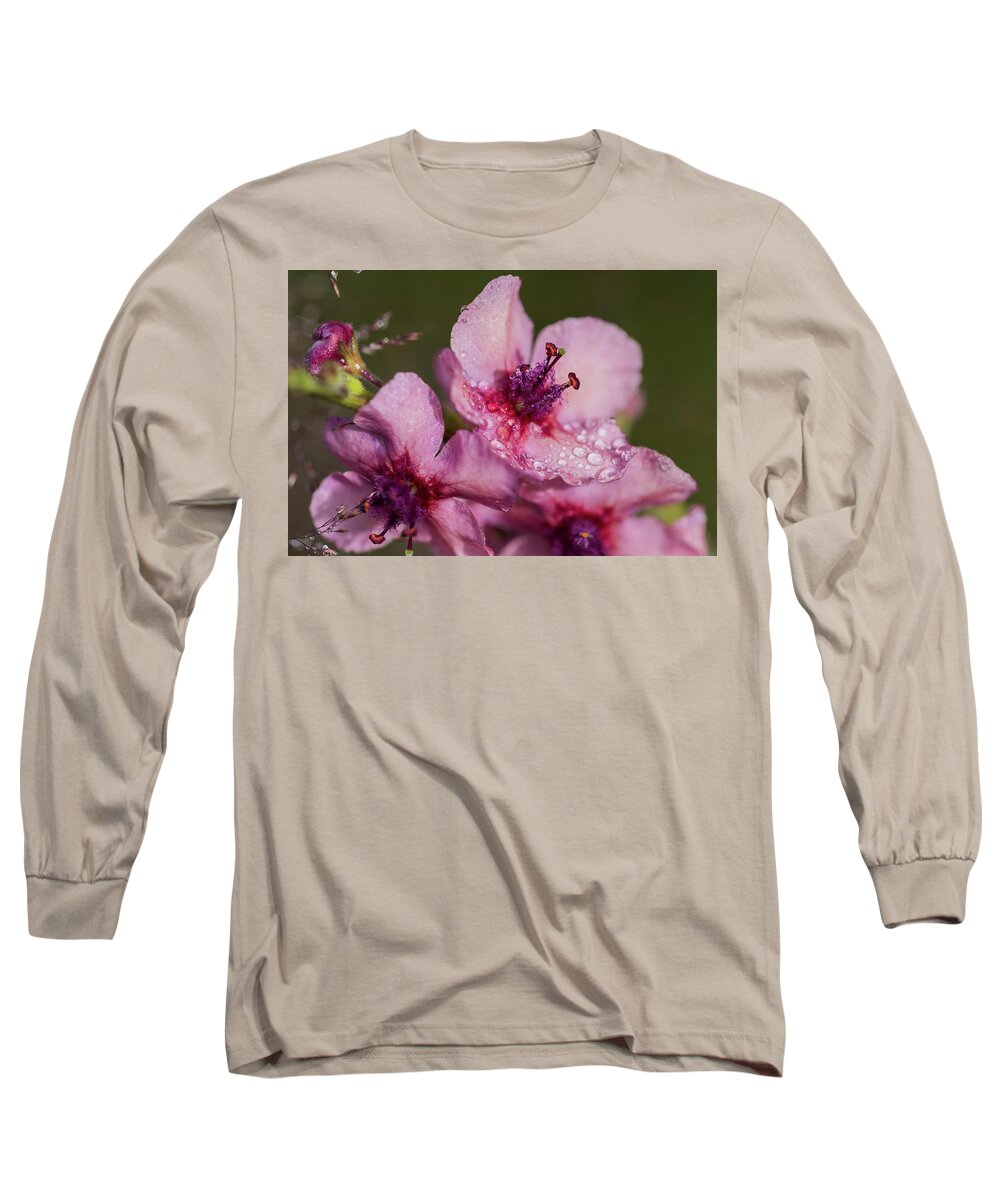 Astoria Long Sleeve T-Shirt featuring the photograph Mullein in the Mist by Robert Potts