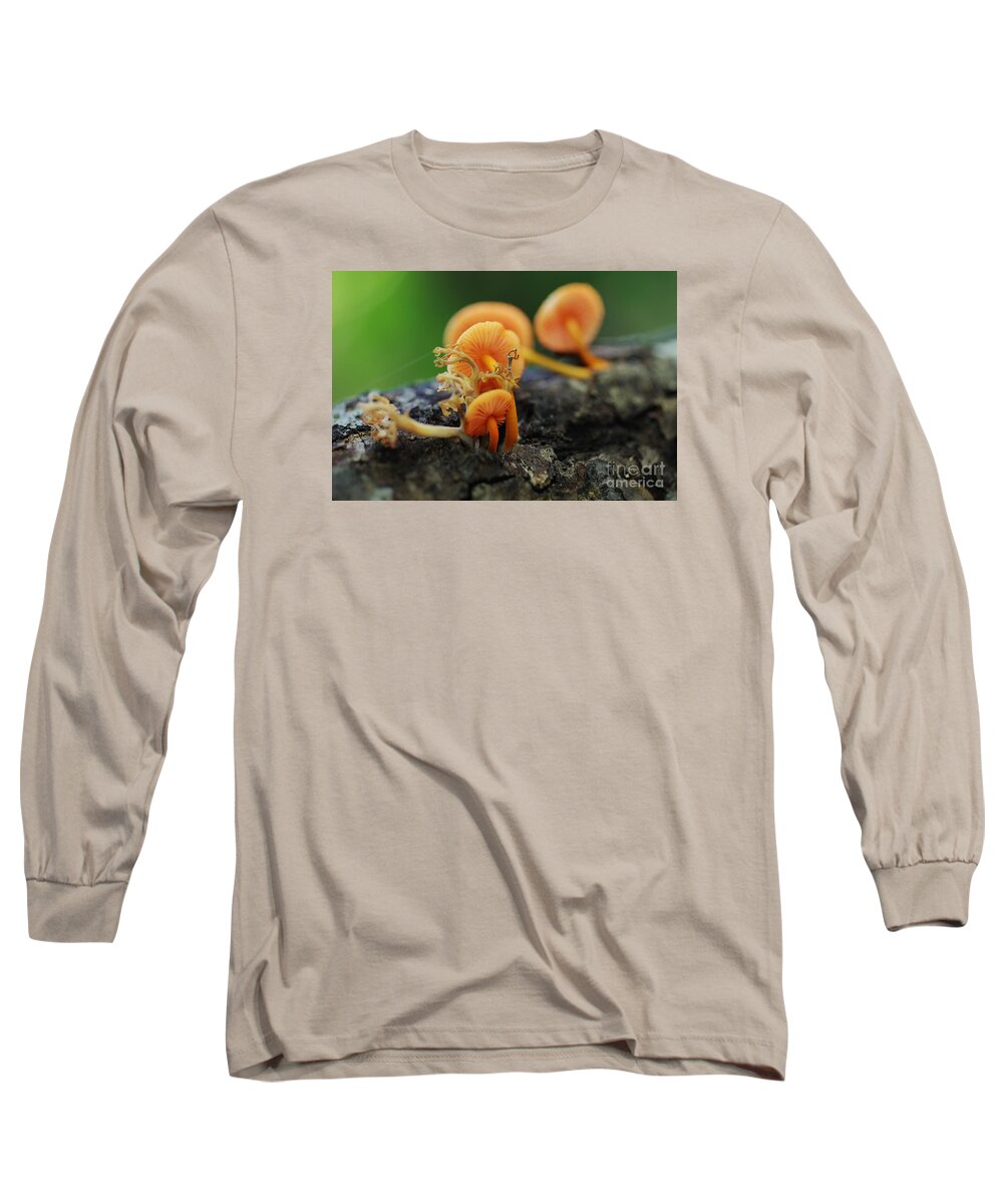  Long Sleeve T-Shirt featuring the photograph Mushrooms or a Fungus Amongst Us 6 by David Frederick