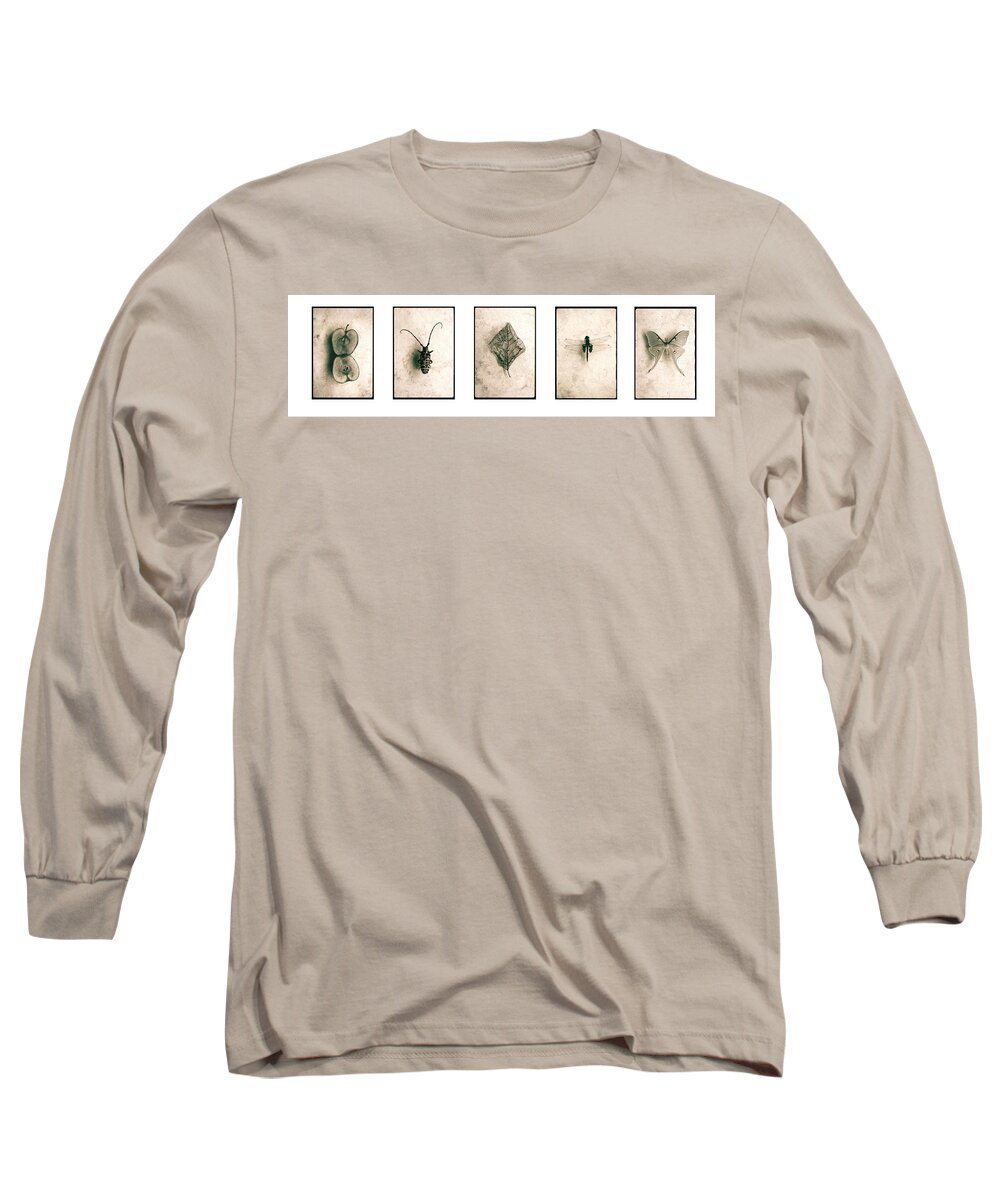 Apple Long Sleeve T-Shirt featuring the photograph Nature Series by David Chasey