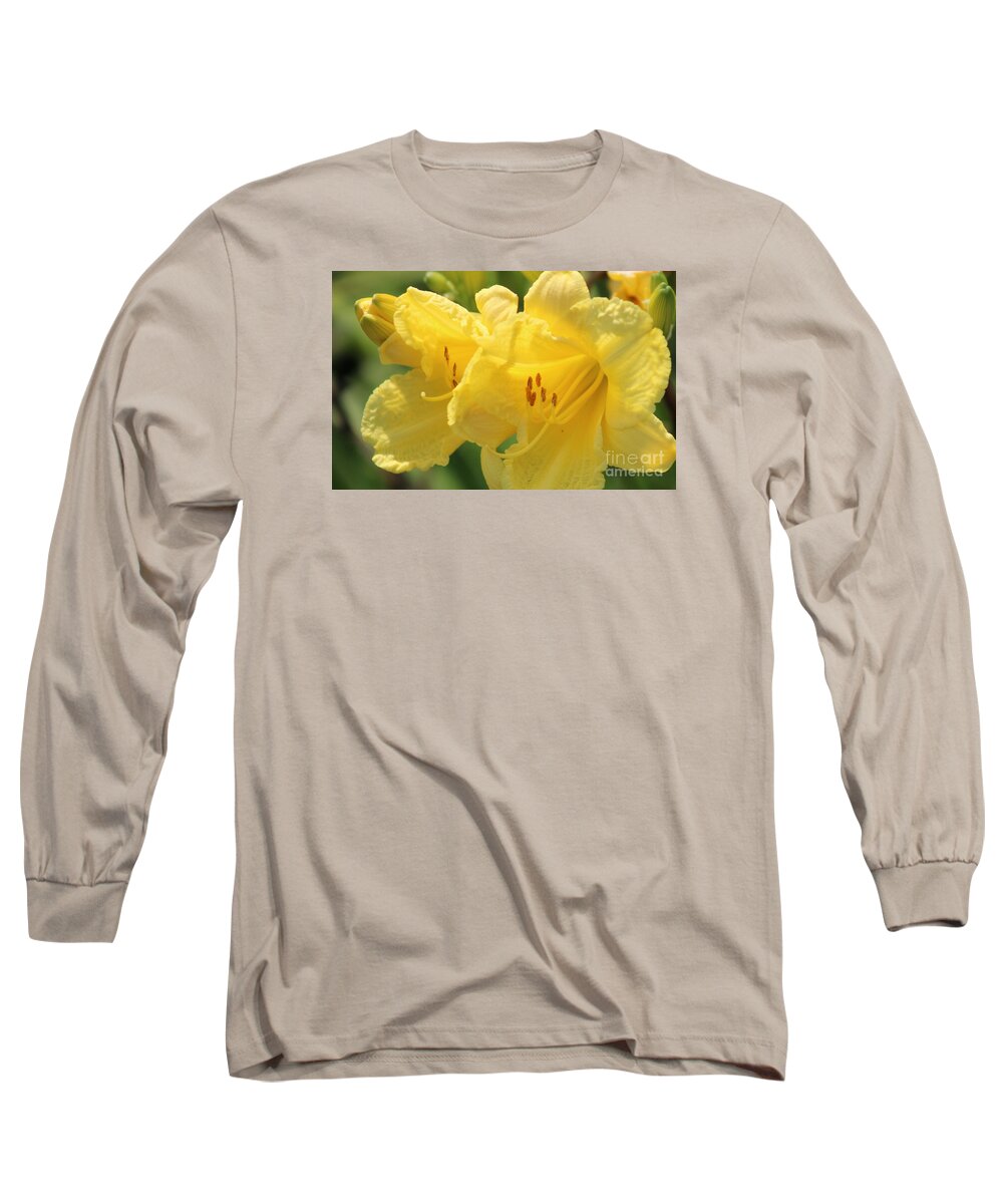 Yellow Long Sleeve T-Shirt featuring the photograph Nature's Beauty 45 by Deena Withycombe