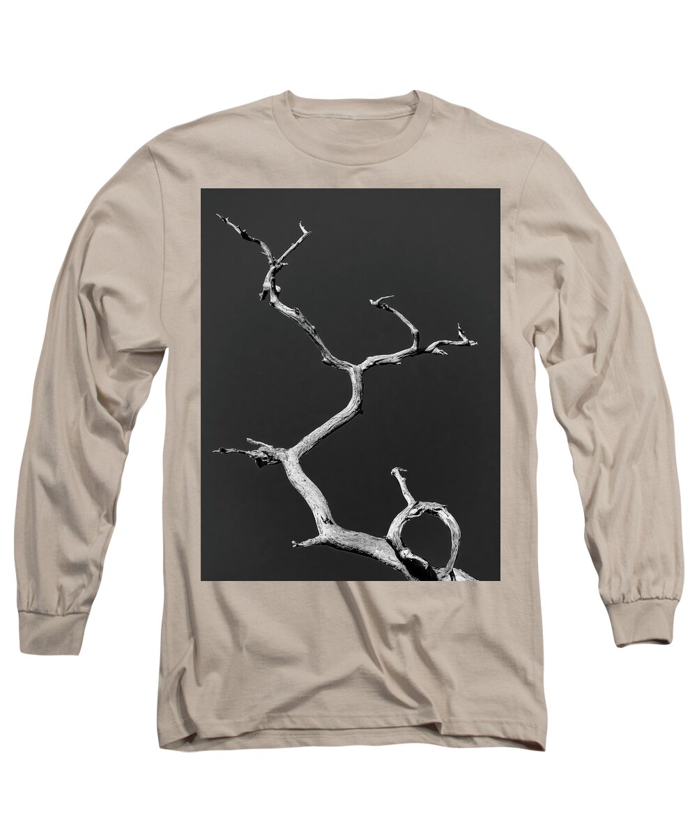 Tree Long Sleeve T-Shirt featuring the photograph Old Wood I by Robert Mitchell
