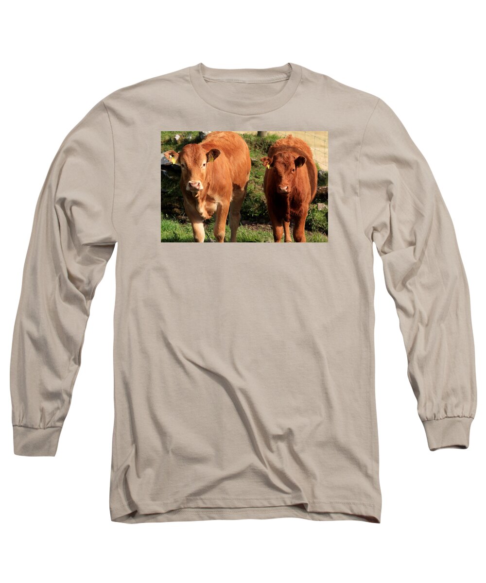Cow Long Sleeve T-Shirt featuring the photograph On The Farm by Aidan Moran