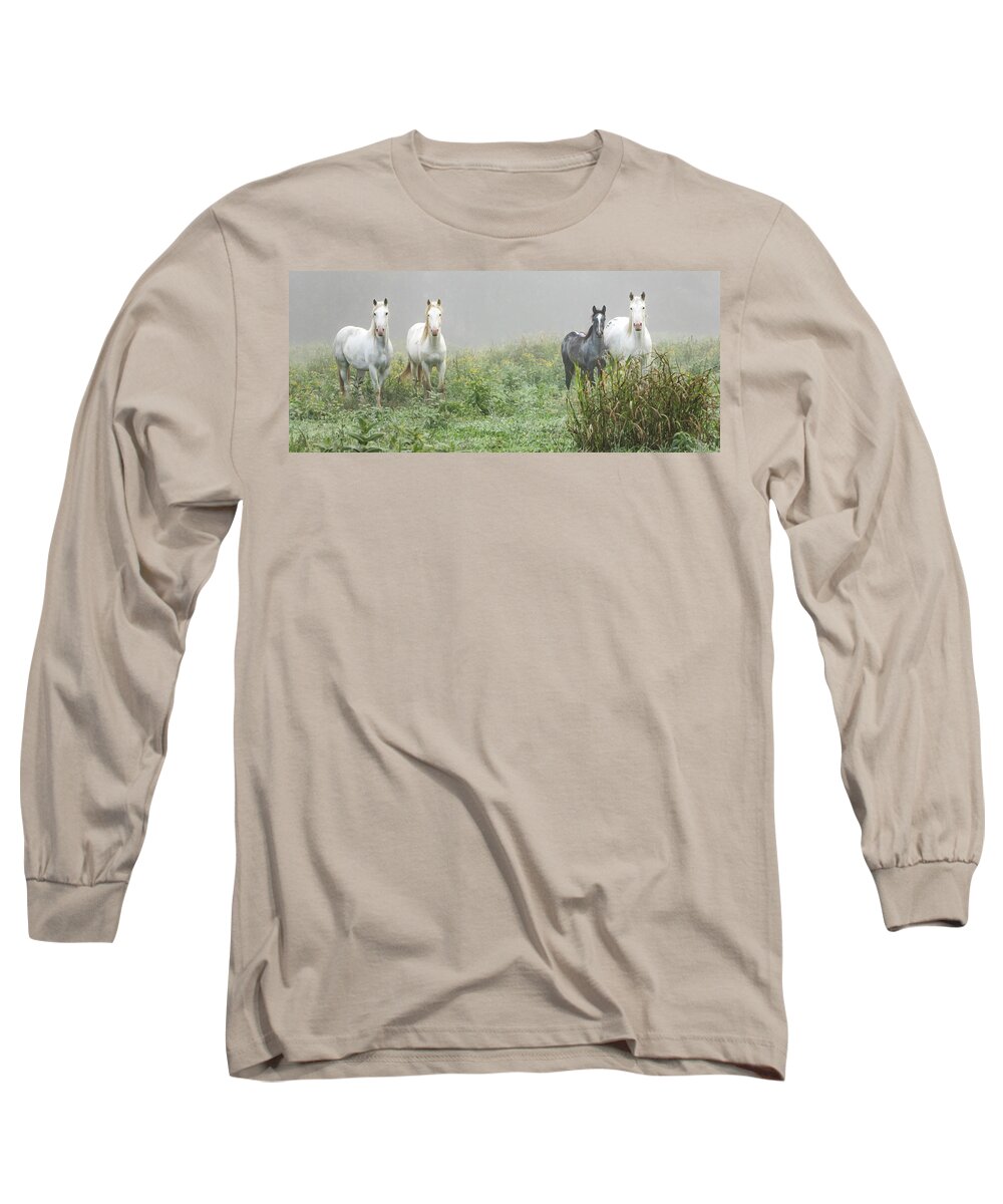 Wild Horses Long Sleeve T-Shirt featuring the photograph Out of the Mist, 2 by Holly Ross