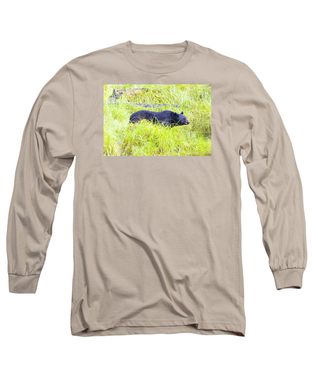 Wildlife. Black Bear Long Sleeve T-Shirt featuring the photograph Out Standing in his Field by Harold Piskiel