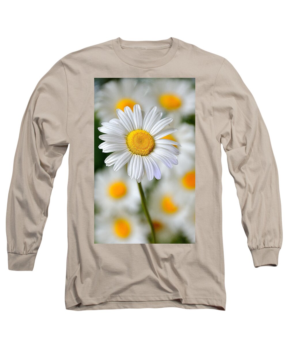 Flower Long Sleeve T-Shirt featuring the photograph Painted Daisies by Mark Fuller