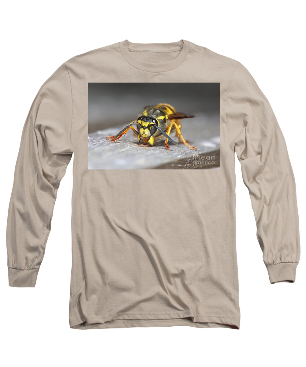 Queen German Wasp Long Sleeve T-Shirt featuring the photograph Paper Maker by Warren Photographic
