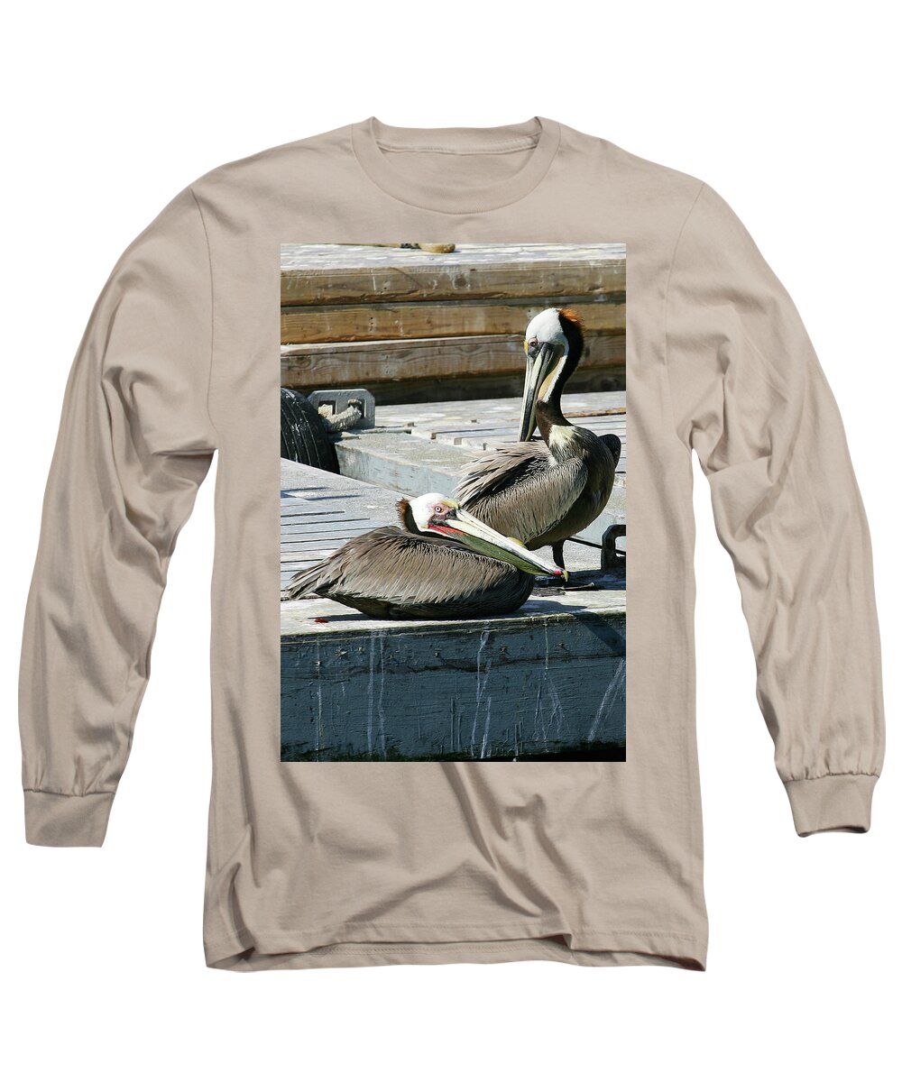 Pelicans Long Sleeve T-Shirt featuring the photograph Pelican on the Dock by Anthony Jones
