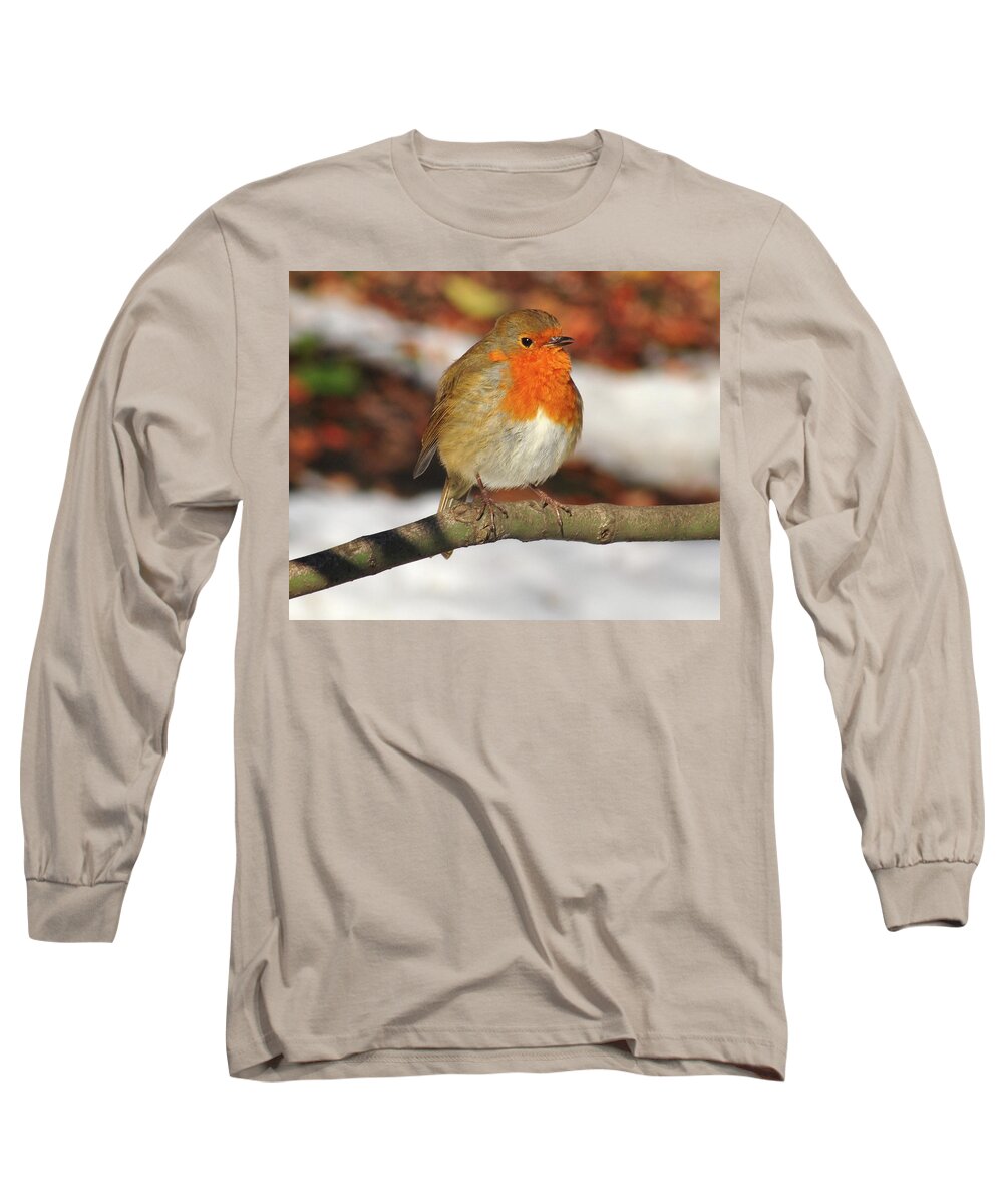 Robin Long Sleeve T-Shirt featuring the photograph Perched Robin by John Hughes
