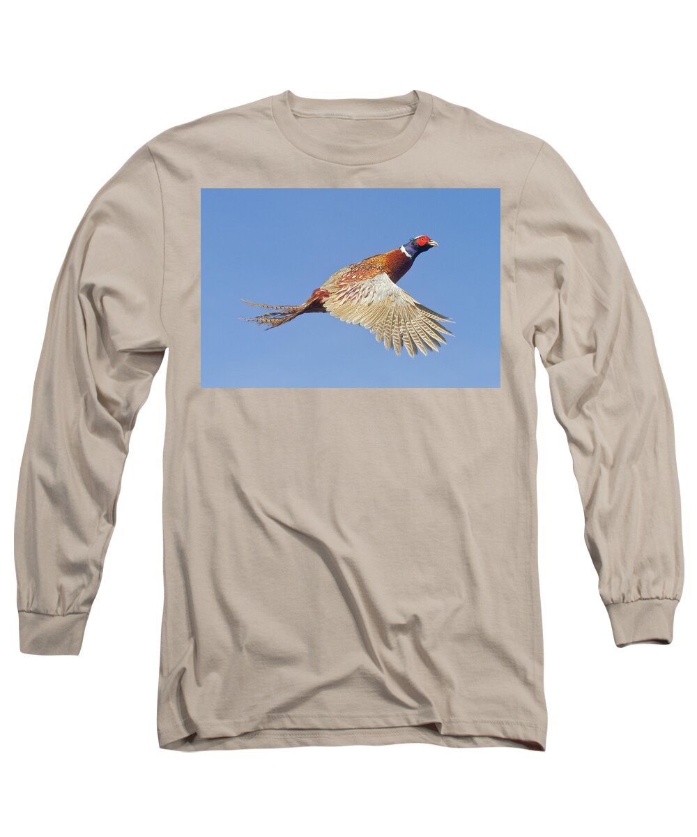 Pheasant Long Sleeve T-Shirt featuring the photograph Pheasant Wings by Mark Miller