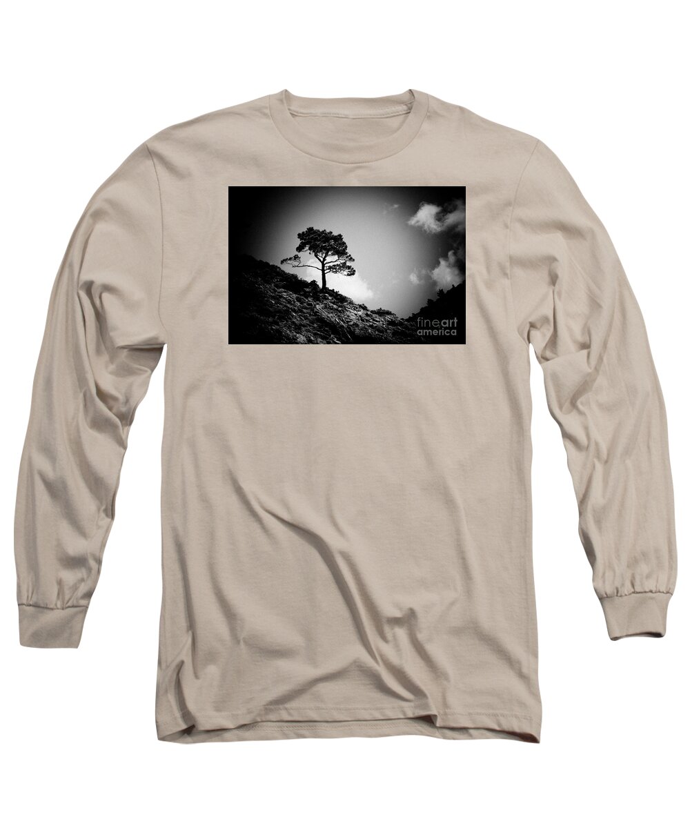 Water Long Sleeve T-Shirt featuring the photograph Pine at sky background Artmif.lv by Raimond Klavins