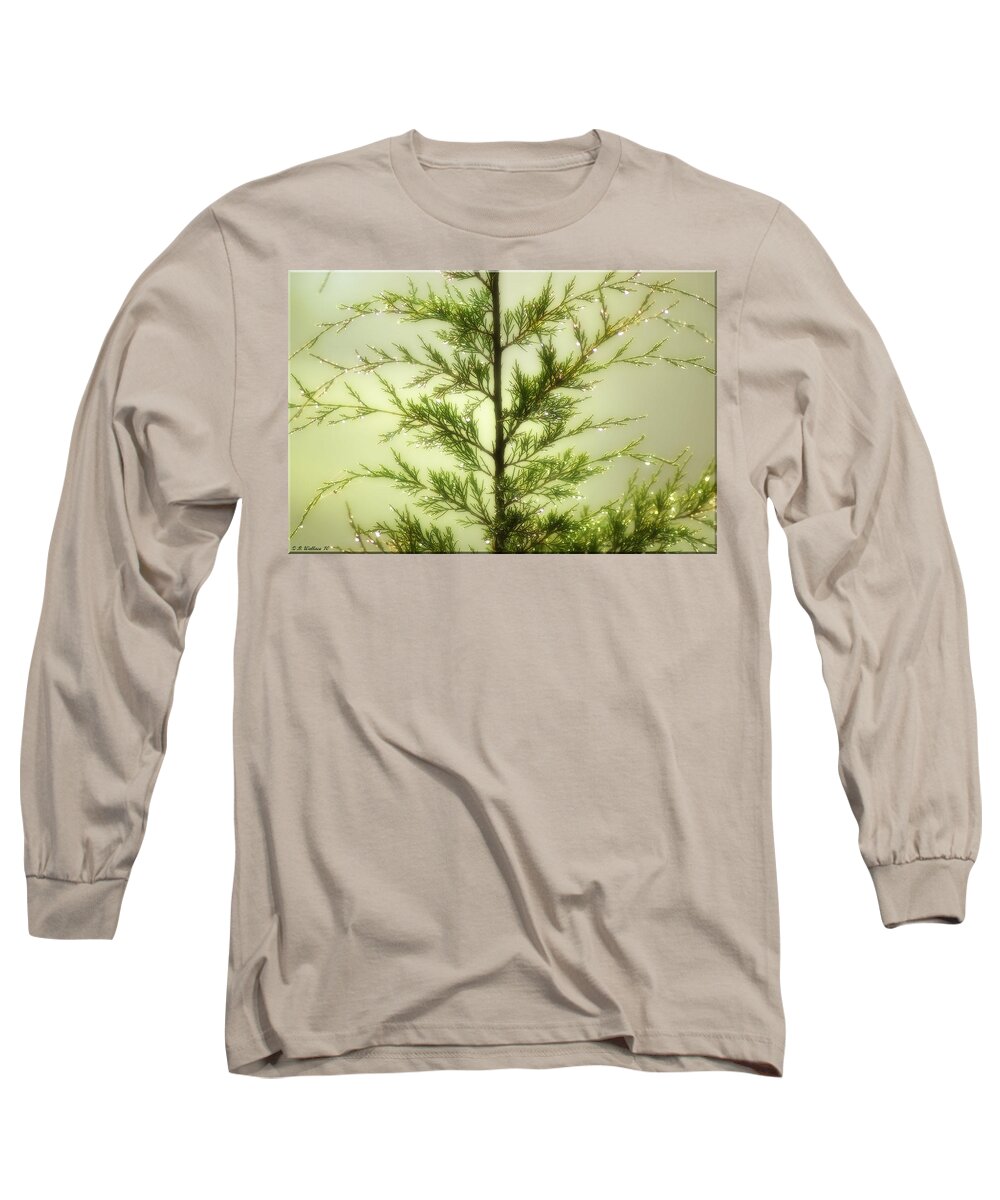 2d Long Sleeve T-Shirt featuring the photograph Pine Shower by Brian Wallace