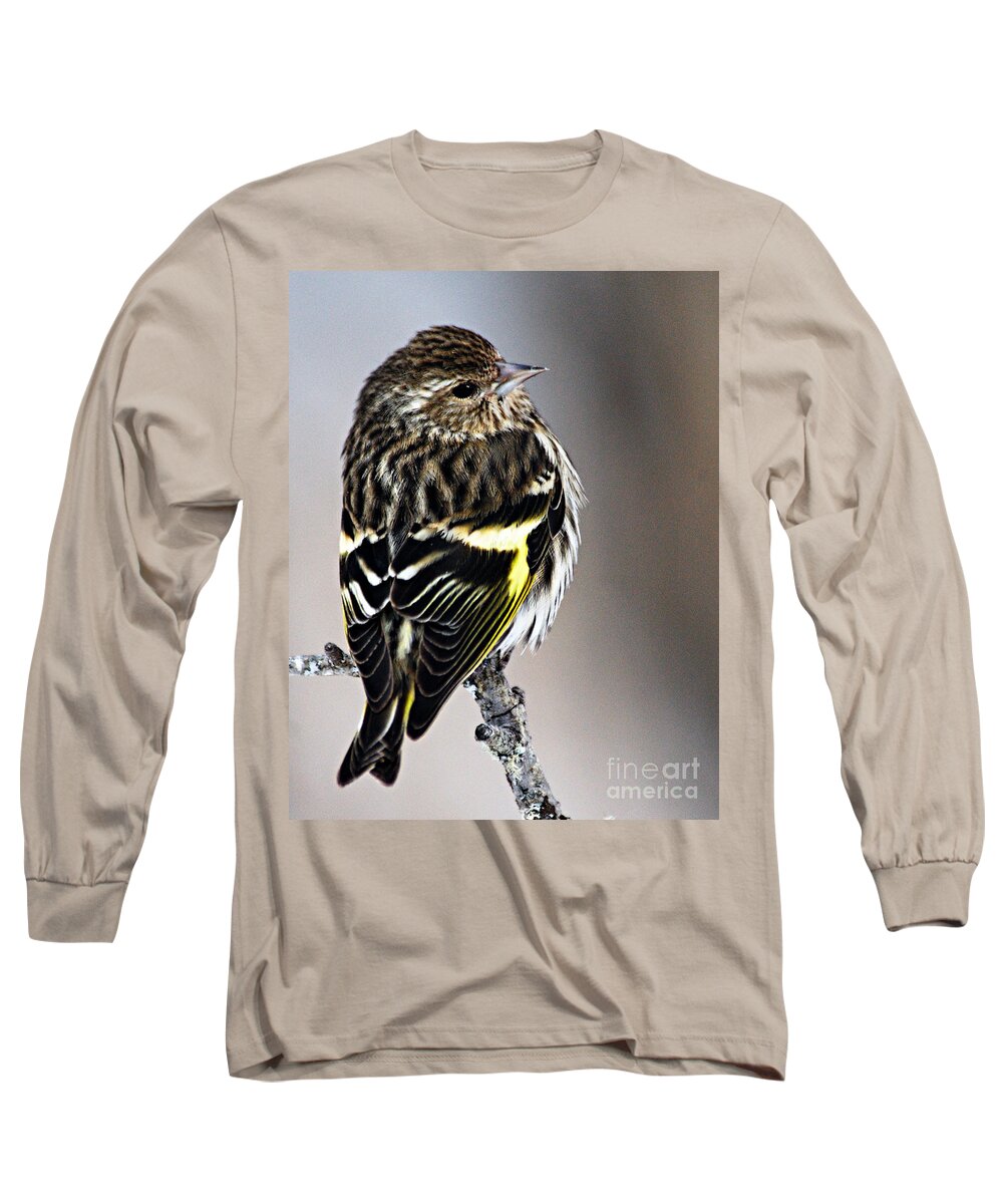 Photography Long Sleeve T-Shirt featuring the photograph Pine Siskin by Larry Ricker