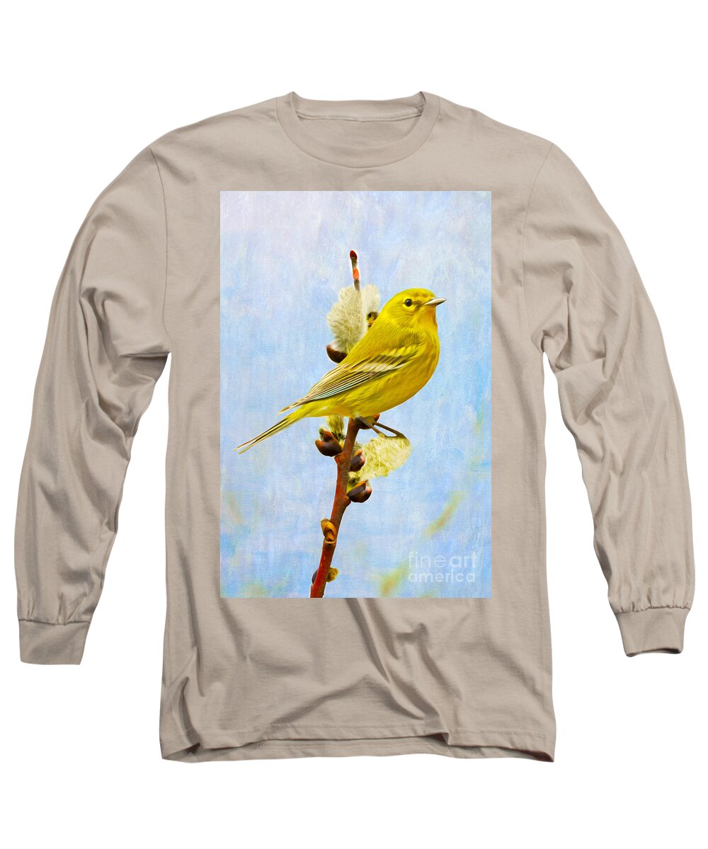 Pine Warbler Long Sleeve T-Shirt featuring the photograph Pine Warbler on Willow Catkin by Laura D Young