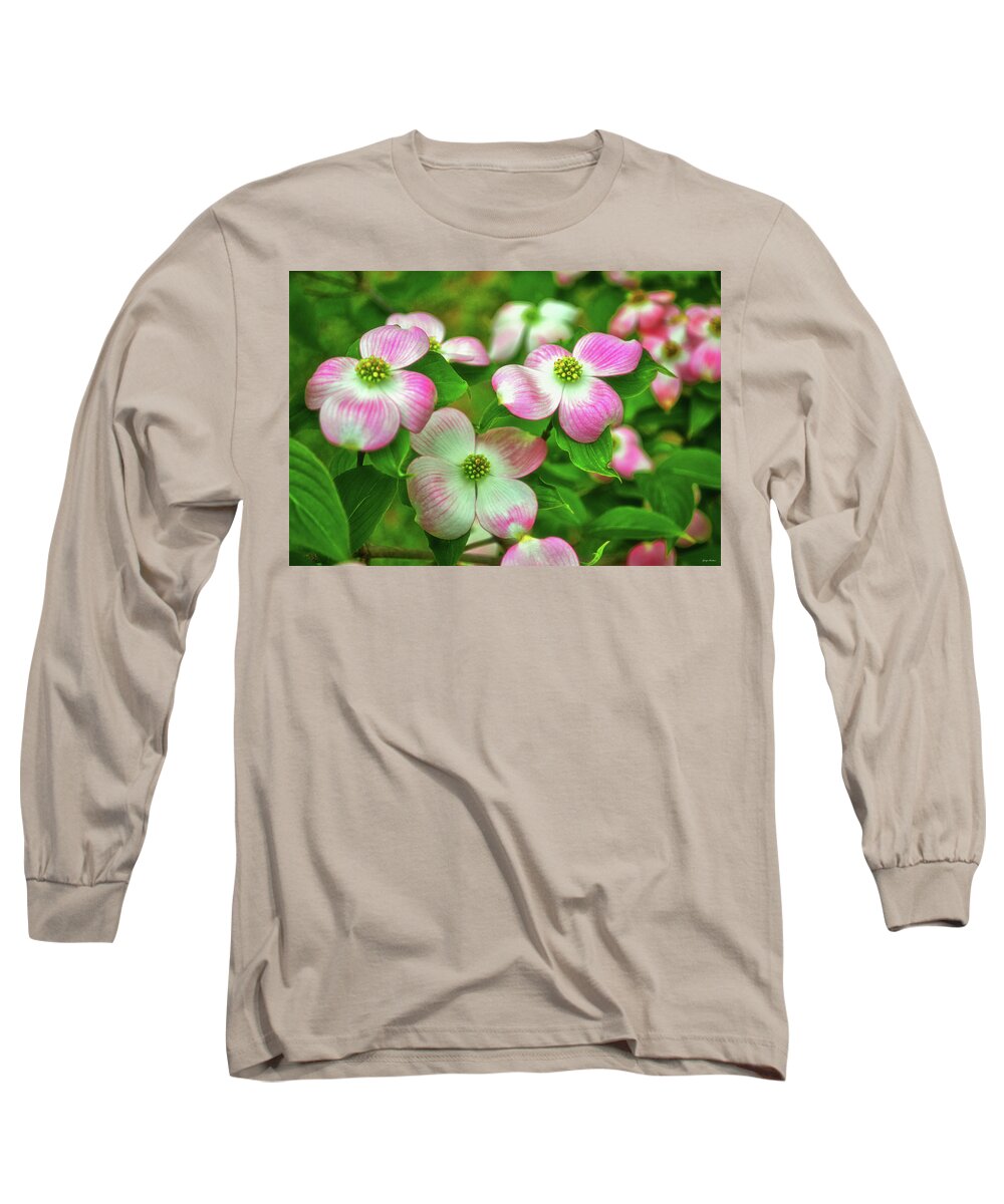 Dogwood Long Sleeve T-Shirt featuring the photograph Pink Dogwoods 003 by George Bostian