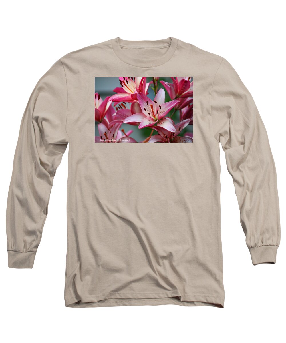 Lily Long Sleeve T-Shirt featuring the photograph Pink Lily's by Diane Shirley