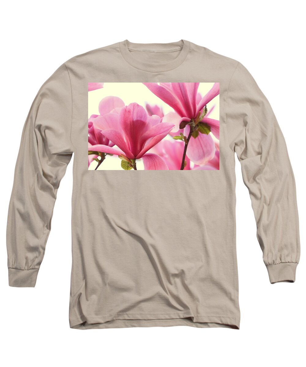 Magnolia Long Sleeve T-Shirt featuring the photograph Pink Magnolias by Peggy Collins